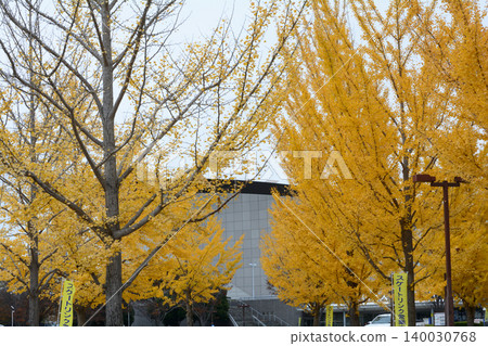笠松體育公園28號的秋景 笠松體育公園28號的秋景 140030768