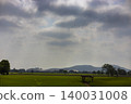 Lush Green Paddy Field On A Sunny Day, Beautiful rice farm with palm trees for thailand travel marketing campaign, brand awareness, sustainable agriculture industry and nature scenic documentary. 140031008