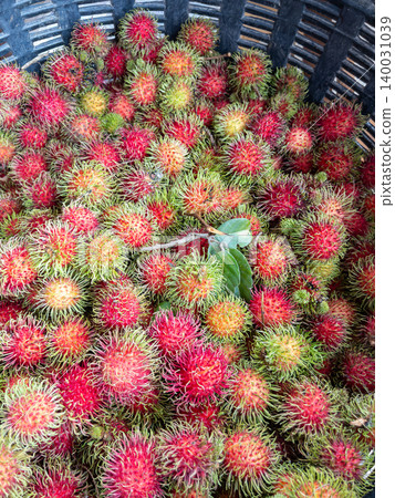 Fresh Rambutan Fruits Piled in Basket,Tropical Market Thailand Fresh Rambutan Fruits Piled in Basket,Tropical Market Thailand 140031039