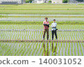 Two farmers standing on the embankment of a rice paddy. Two farmers standing on the embankment of a rice paddy. 140031052