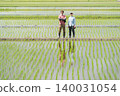 Two farmers standing on the embankment of a rice paddy. Two farmers standing on the embankment of a rice paddy. 140031054