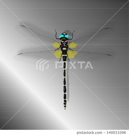 Detailed illustration of the giant dragonfly and stainless steel hairline background illustration Detailed illustration of the giant dragonfly and stainless steel hairline background illustration 140031096