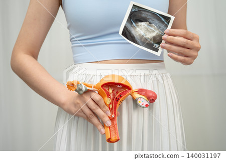 Uterus ultrasound, Asian woman holding human anatomy model. Uterus ultrasound, Asian woman holding human anatomy model. 140031197