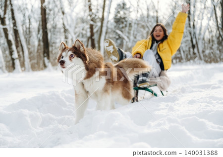 Young woman in a yellow jacket is joyfully sledding in the snow with a brown and white dog running alongside in a winter forest setting with trees in the background 140031388