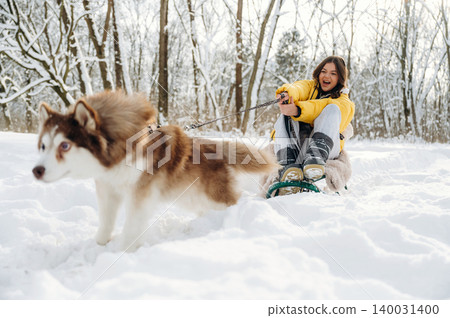 Young woman in a yellow jacket is sledding in the snow while being pulled by a Siberian Husky dog in a winter forest setting with trees and snow-covered ground 140031400