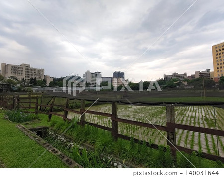 Taipei, Taiwan - 04.06.2026: Taiwan University (Taiwan University) campus area agricultural testing ground, distant place is Taiwan University of Science and Technology (Taiwan University) campus Taipei, Taiwan - 04.06.2026: Taiwan University (Taiwan University) campus area agricultural testing ground, distant place is Taiwan University of Science and Technology (Taiwan University) campus 140031644