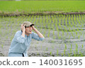 A young rice farmer is at his wit's end. A young rice farmer is at his wit's end. 140031695