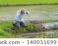 A young rice farmer is at his wit's end. A young rice farmer is at his wit's end. 140031699