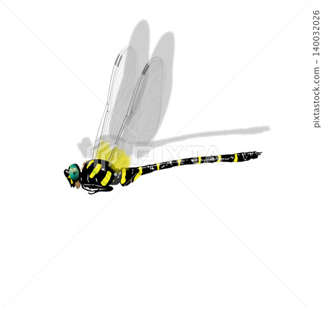 Detailed illustration of the giant dragonfly (Onion Dragonfly) Detailed illustration of the giant dragonfly (Onion Dragonfly) 140032026