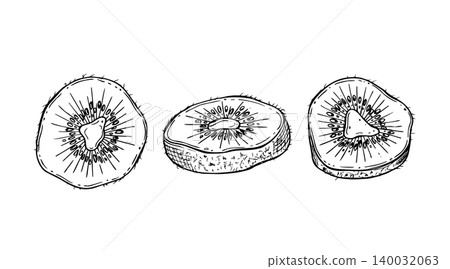 Kiwi slices vector illustration in ink line art style. Hand drawn round tropical fruit pieces set linear drawing for kitchen menu design and culinary blog decor. Healthy food sketch. Kiwi slices vector illustration in ink line art style. Hand drawn round tropical fruit pieces set linear drawing for kitchen menu design and culinary blog decor. Healthy food sketch. 140032063