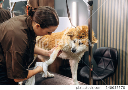Dog grooming session featuring a groomer washing a fluffy dog in a modern salon with stylish decor and a comfortable chair in the background Dog grooming session featuring a groomer washing a fluffy dog in a modern salon with stylish decor and a comfortable chair in the background 140032578