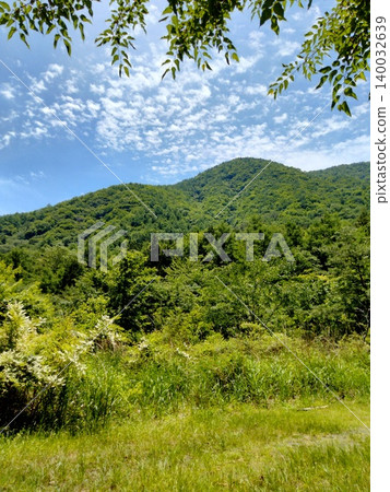 療癒的風景 140032639