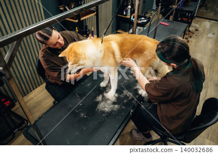 Two groomers attending to a large dog on a grooming table inside a pet grooming salon, with tools and equipment visible in the background Two groomers attending to a large dog on a grooming table inside a pet grooming salon, with tools and equipment visible in the background 140032686