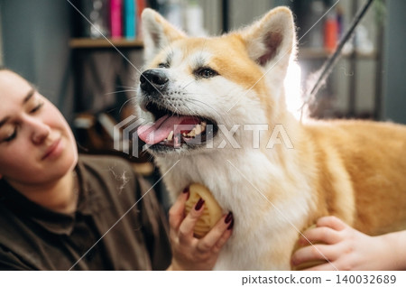 Dog grooming session featuring a smiling Akita being brushed by a woman in a brown shirt, with grooming tools and a modern salon setting in the background Dog grooming session featuring a smiling Akita being brushed by a woman in a brown shirt, with grooming tools and a modern salon setting in the background 140032689