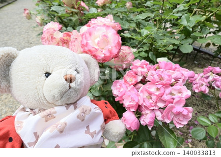 Rose garden and teddy bears Rose garden and teddy bears 140033813