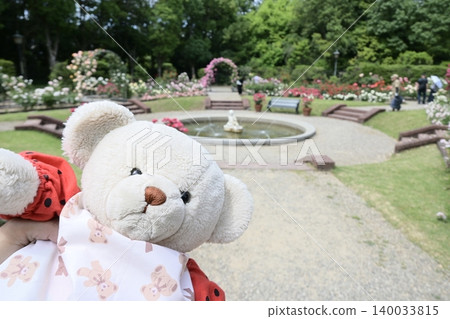 Rose garden and teddy bears Rose garden and teddy bears 140033815