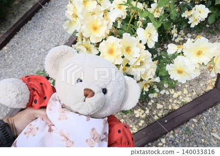 Rose garden and teddy bears 140033816