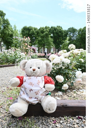 Rose garden and teddy bears 140033817
