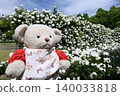 Rose garden and teddy bears 140033818