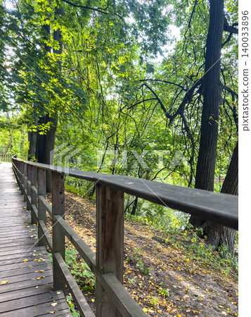 Wooden Boardwalk Forest Park Green Trees Nature Wooden Boardwalk Forest Park Green Trees Nature 140033896