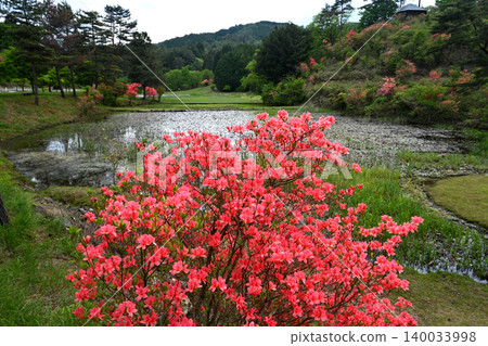 Ontsutsuji 9 (Kurosawa Marshland, Urushikawa, Ikeda-cho, Miyoshi City, Tokushima Prefecture) Ontsutsuji 9 (Kurosawa Marshland, Urushikawa, Ikeda-cho, Miyoshi City, Tokushima Prefecture) 140033998