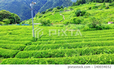 岐阜的馬丘比丘：空中茶園 140034032