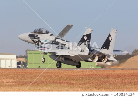 A Japan Air Self-Defense Force F-15DJ Eagle landing A Japan Air Self-Defense Force F-15DJ Eagle landing 140034124