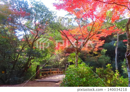 [Hiroshima Prefecture] Momijidani Park in Miyajima, one of the three most scenic spots in Japan, Aki 140034218