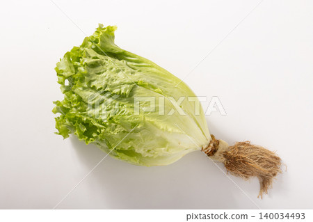 【宮城縣】沙拉生菜,葉用生菜 【宮城縣】沙拉生菜,葉用生菜 140034493