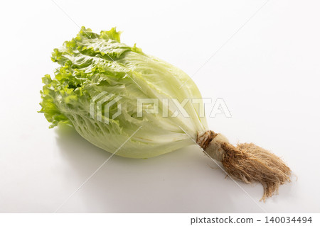 【宮城縣】沙拉生菜,葉用生菜 【宮城縣】沙拉生菜,葉用生菜 140034494