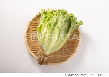 【宮城縣】沙拉生菜,葉用生菜 【宮城縣】沙拉生菜,葉用生菜 140034495
