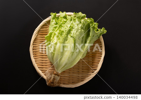 [Miyagi Prefecture] Salad Lettuce, Leaf Lettuce 140034498