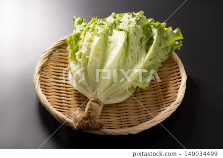 [Miyagi Prefecture] Salad Lettuce, Leaf Lettuce 140034499