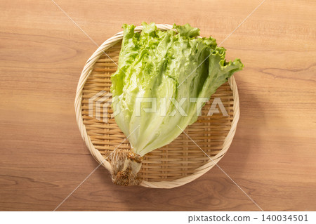 【宮城縣】沙拉生菜,葉用生菜 【宮城縣】沙拉生菜,葉用生菜 140034501