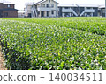 Yame's tea plantation 140034511