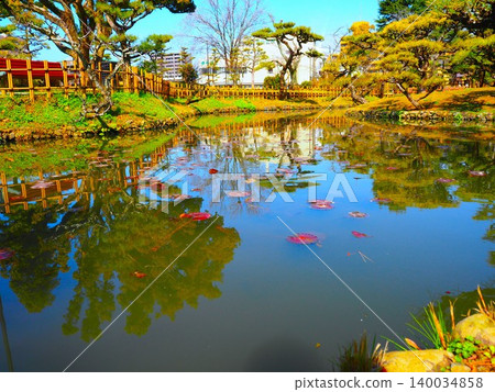 Trees and floating leaves reflected on the surface of the pond Trees and floating leaves reflected on the surface of the pond 140034858