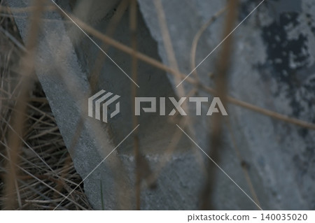 Traces of time etched into weathered concrete structures Traces of time etched into weathered concrete structures 140035020