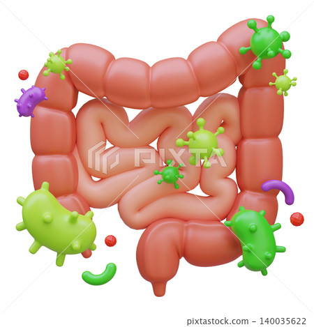 3D Illustration of Human Intestines Organ with Bacteria and Virus Infection 140035622