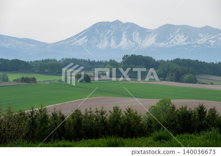 初夏的美瑛山 初夏的美瑛山 140036673