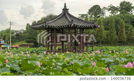 lotus 140036736
