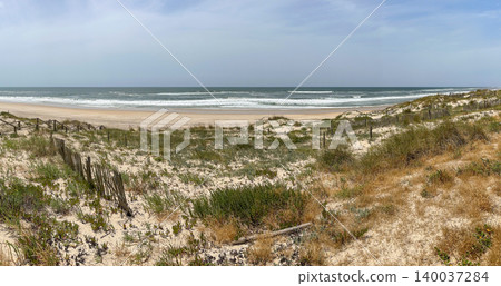 Panoramic View of Sand Dunes and Beach Landscape at Praia de Mira Portugal 140037284
