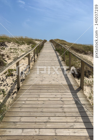 Wooden Boardwalk Path Ascending Through Coastal Sand Dunes in Praia de Mira Portugal 140037289