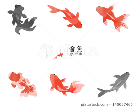 一組寫實優雅的日式夏季插畫，以水彩風格描繪了各種金魚。 140037465