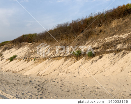 Sloping coastal dunes show layers of sand and vegetation Sloping coastal dunes show layers of sand and vegetation 140038156