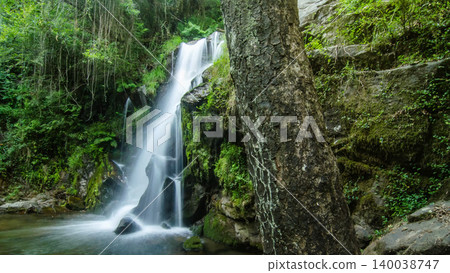 Long Exposure Waterfall in a Lush Green Forest at Cascata da Cabreia 140038747