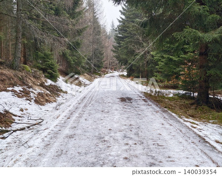 Snowy pine path enveloped in mist. Icy gravel route surrounded by snowcovered pine trees and fog 140039354