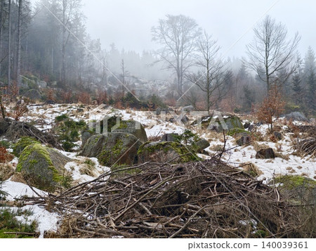 Accumulated plant debris among rocks provides essential microhabitat for various small animals and insects Accumulated plant debris among rocks provides essential microhabitat for various small animals and insects 140039361