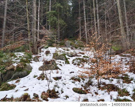 Challenging ascent featuring snow and moss rocks. Uphill terrain with snow patches and lush green trees Challenging ascent featuring snow and moss rocks. Uphill terrain with snow patches and lush green trees 140039363