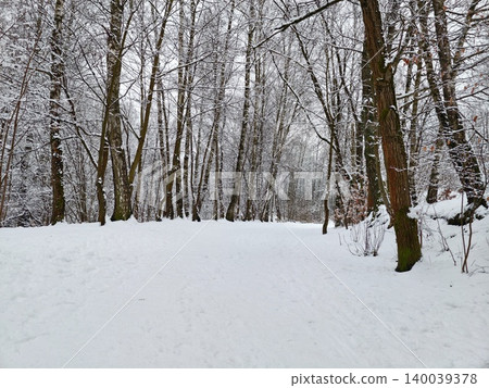 Serene winter trail amidst leafless trees. Scenic snowcovered forest route with open clearing nearby 140039378