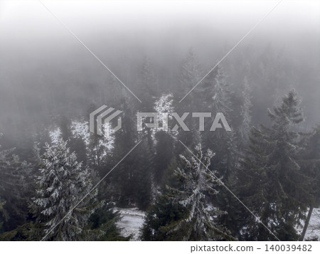 Snowcovered trees in quiet fog. Silent winter scene with frosted conifer canopy and subdued hues 140039482